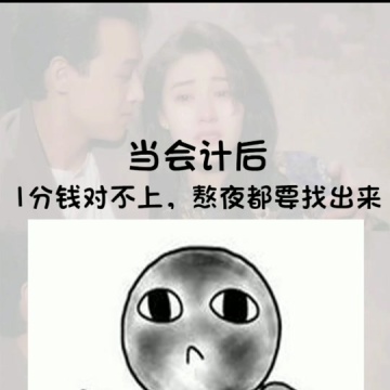 会计人生