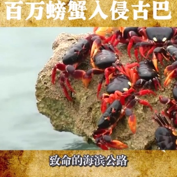 外来物种入侵