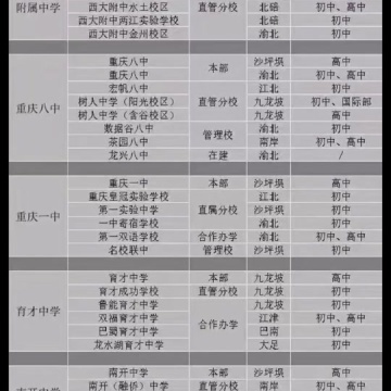 重庆七龙珠