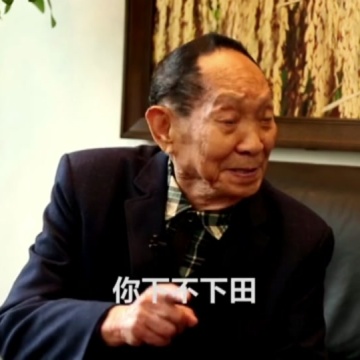 一稻济世万家粮足