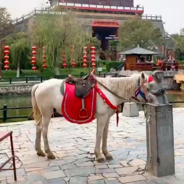 开封清明上河园