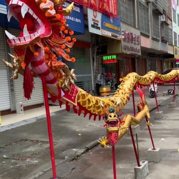 宾阳炮龙节