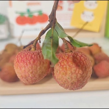 荔枝的神仙吃法