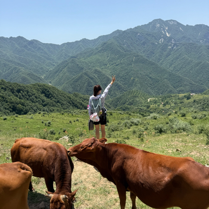 自由鸟⛰️户外群 群聊头像