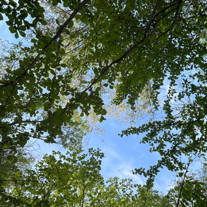 户外星人聚集地1 群聊头像