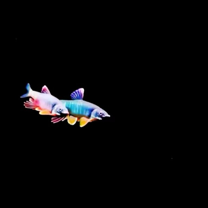 原生鱼溪流群 群聊头像