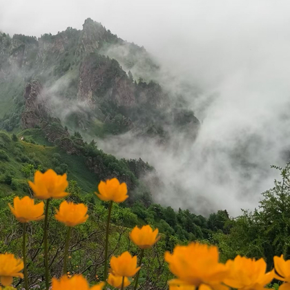 北京户外徒步登山 群聊头像