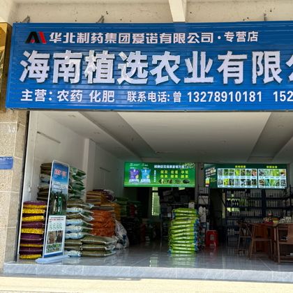 槟榔高产增收交流群 群聊头像