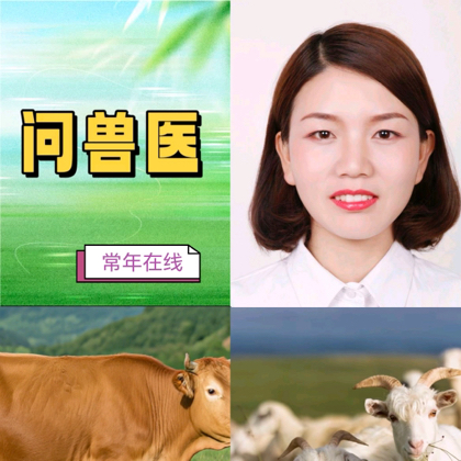 牛羊养殖交流群2 群聊头像