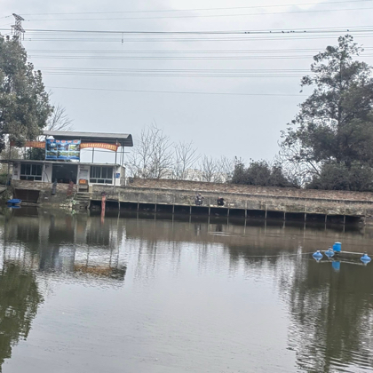千羽垂钓园🎣 群聊头像