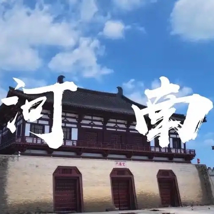 河南人在安徽5群 群聊头像