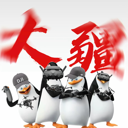 大疆讨论小组（无人机、osmo） 群聊头像