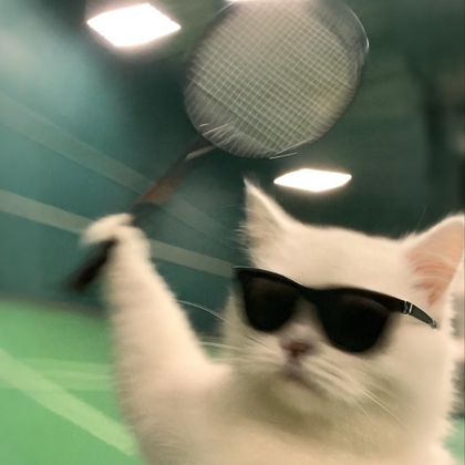 一起打球🏸 群聊头像