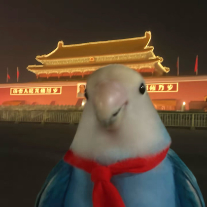 合法鹦鹉采购交流 群聊头像