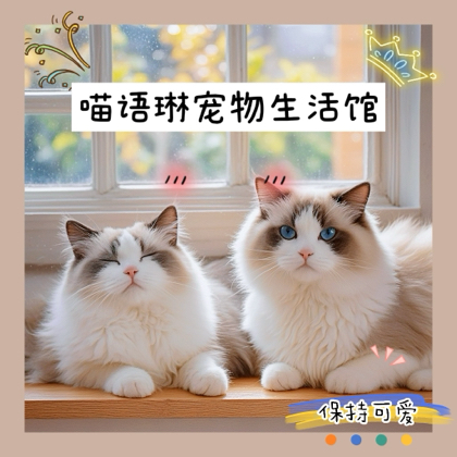 一起快乐健康养猫 群聊头像