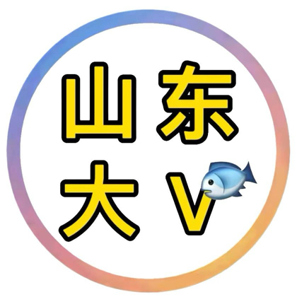 山东大V12群 群聊头像