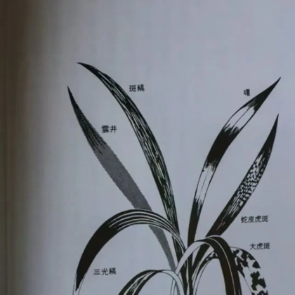 药材收购交流 群聊头像