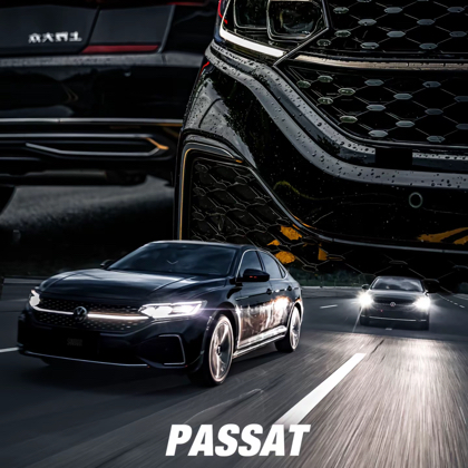 全国Passat🇨🇳车友群 群聊头像