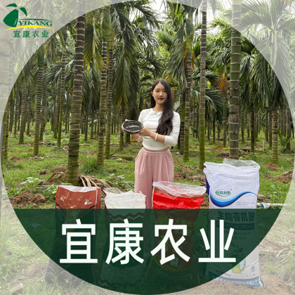 槟榔种植交流 群聊头像