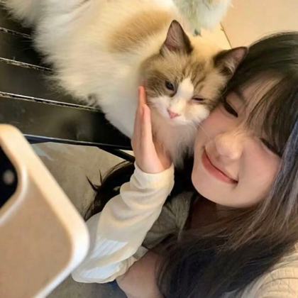 美少女战士小分队 群聊头像