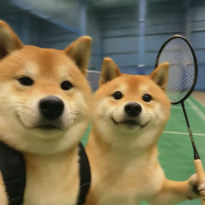 川沙羽毛球🏸 群聊头像
