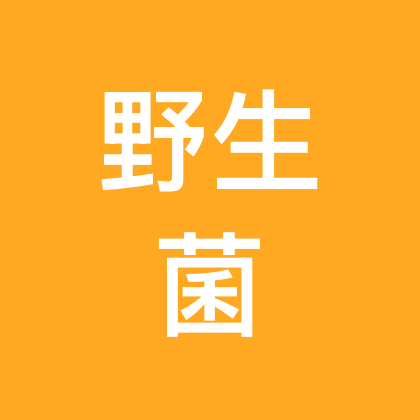 野生菌俱乐部 群聊头像