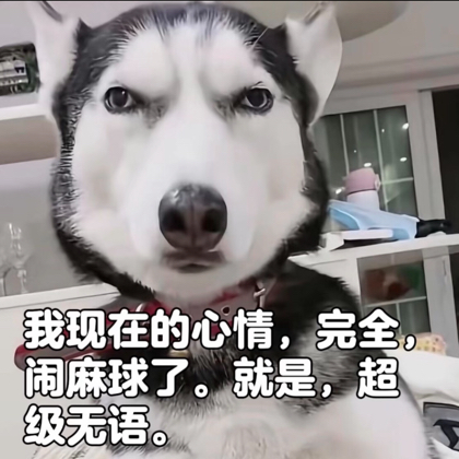 毛蛋（取图） 群聊头像
