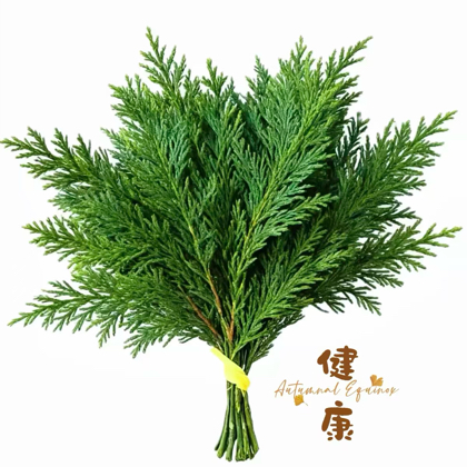 羊羊爱科研交流中心 群聊头像