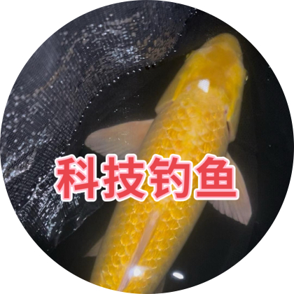 科技钓鱼6 群聊头像