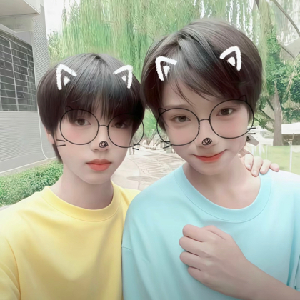 狗豚之家🩵💛💛🩵 群聊头像