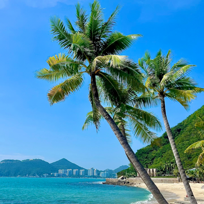 平湖退休旅游搭子群 群聊头像