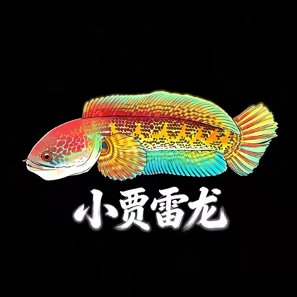 雷龙经验交流群 群聊头像