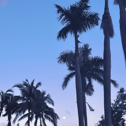不寐·她社群🏝️ 群聊头像