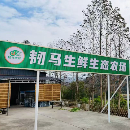 韧马生鲜生态农场2群 群聊头像