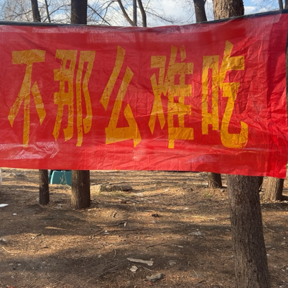 我和外国语的小伙伴们 群聊头像