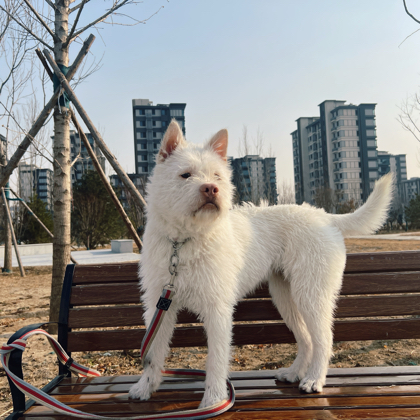下司交流群 群聊头像