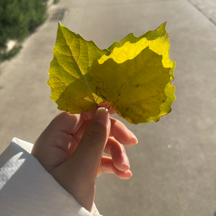 学术科研研究生交流群 群聊头像