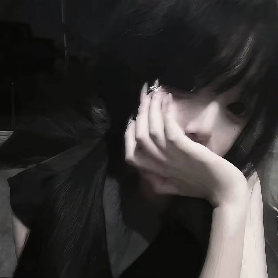 陕西溜车群 群聊头像