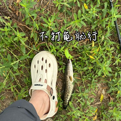 路亚大师进修班…… 群聊头像