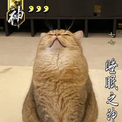 三国杀面杀 群聊头像