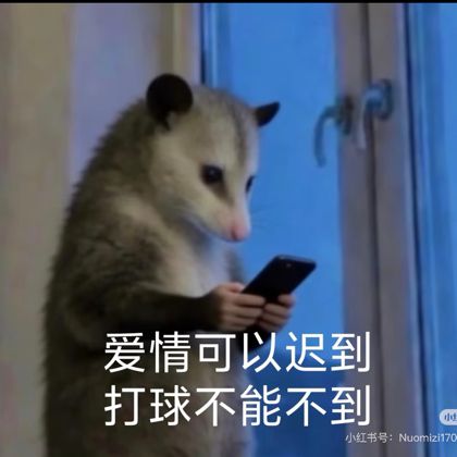 热爱的网球🎾 群聊头像