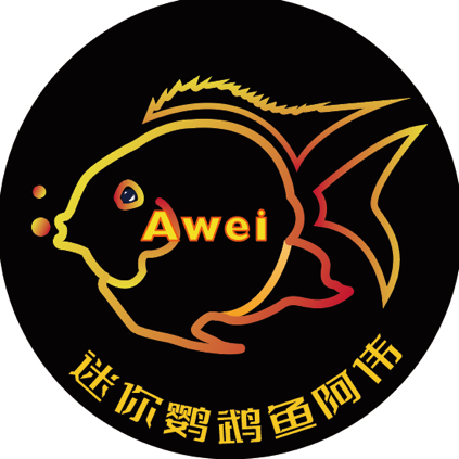 迷你鹦鹉鱼交流群⑥ 群聊头像