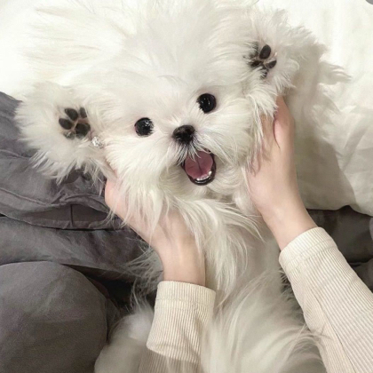 1️⃣图纸分享群 群聊头像
