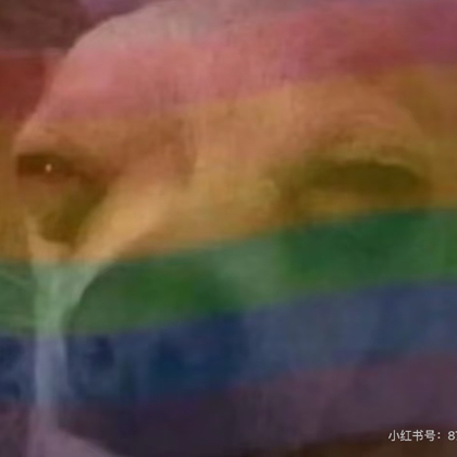 泰腐一家亲 群聊头像