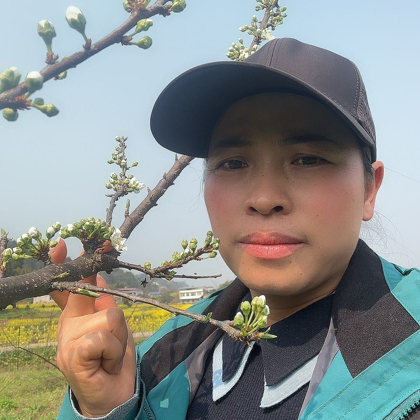 巧儿种植技术3 群聊头像