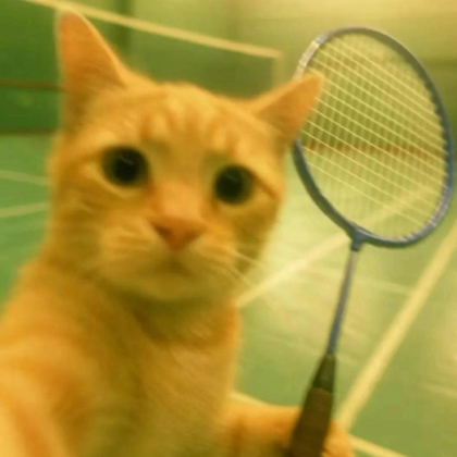 羽毛球🏸搭子群 群聊头像