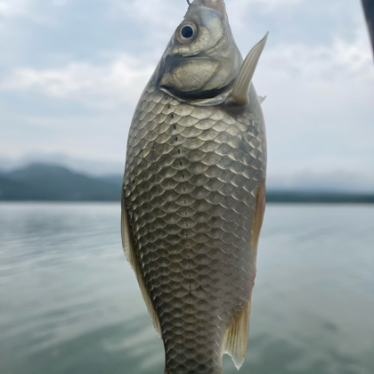 钓友交流群 群聊头像