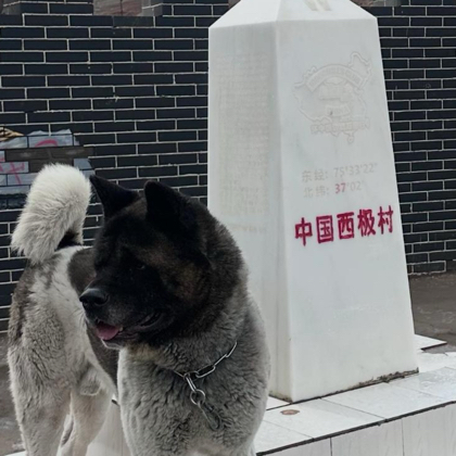 作品分享群① 群聊头像