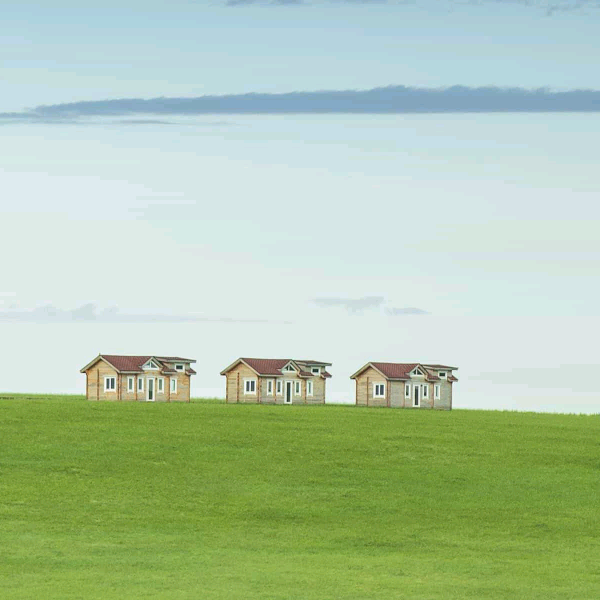蔡氏家族群 群聊头像