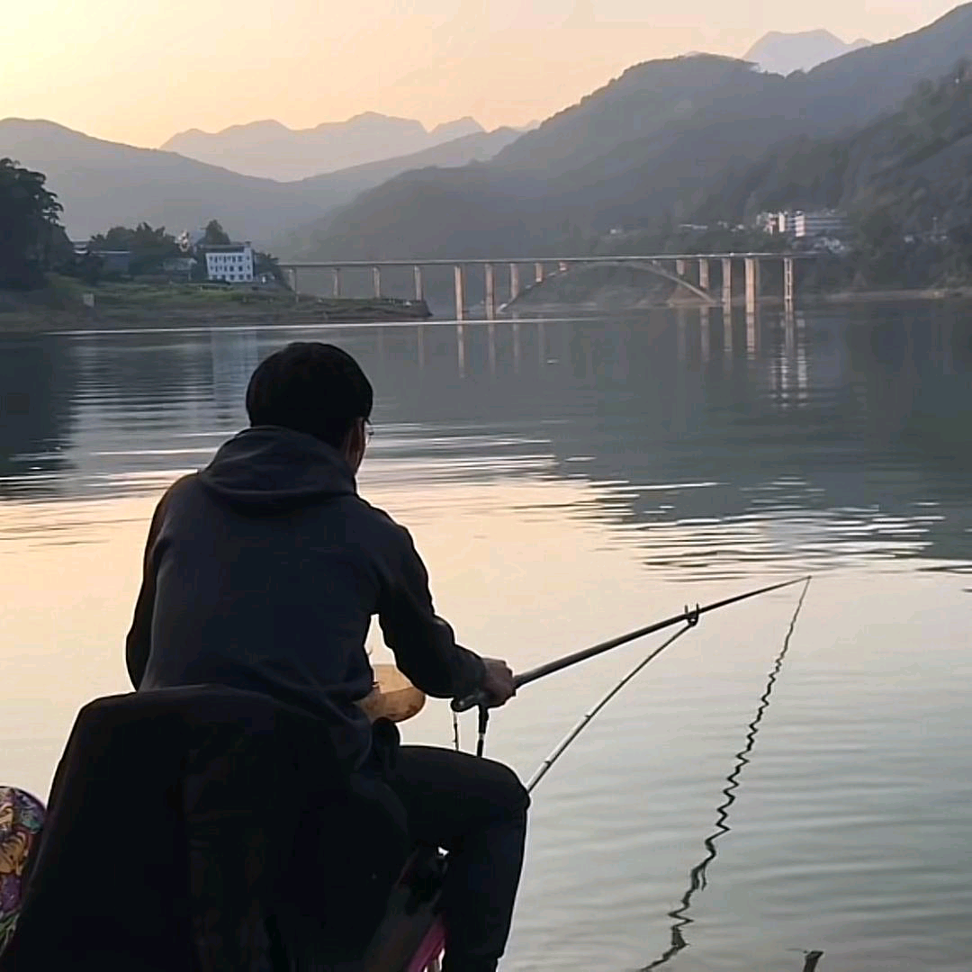 鲤鱼李钓鱼探讨1群 群聊头像
